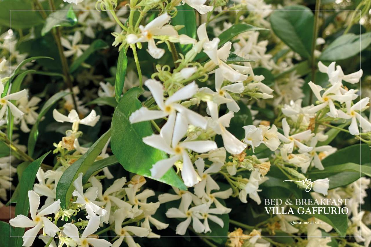 Villa Gaffurio 贝尔加莫 外观 照片